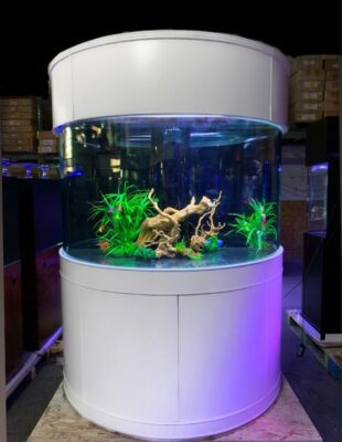 220 Gallon Half-Moon Fish Tank